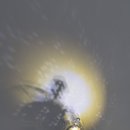 유한회사 제주의소리 이미지