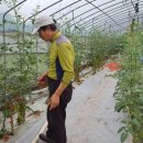 파주정수농장 이미지