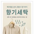 라벤더크리닝 이미지