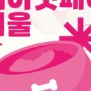 케이마이스 이미지