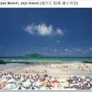 엔돌핀 Daum카페