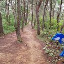 산책가는길 - 수성구 청수로 284 | 산책가는길