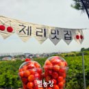 팽성남산4길 이미지