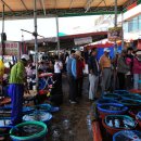 고향집두부 이미지