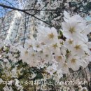 미래(031-562-1800)공인중개 네이버블로그