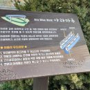 아라마루 이미지