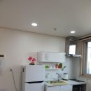 가평 남이섬 투투스파펜션 이미지