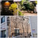 더투스 이미지