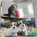 자연동화 | 내돈내산) 📚 돌전후 책추천 "new 세이펜 통통 자연동화" 구매 후기