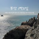 베이 하운드 호텔 | [부산] 태종대 봉래밀면 봉래시장 영도횟집 베이하운드호텔