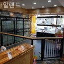 펫 아일랜드 이미지