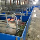 수정축산 이미지