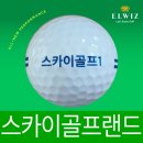 스카이골프랜드(주) 이미지