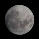 도지골등나무집 이미지