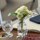 교동 | [강릉 교동 택지 미용실] 헤드 스파 '컬러드스파 강릉교동점' 후기