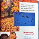 1-24 Fall and Winter (by Jennah) 이미지