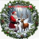 12월 23일 화요일 간추린 뉴스와 날씨 이미지