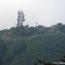 청계산식물원 이미지