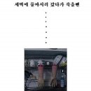 차량매매계약서 및 궁금증... 이미지