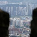 대조-008 이미지