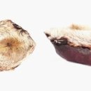 종각한의원 이미지