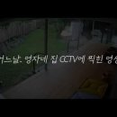 세컨비