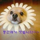 월 이미지