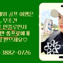 무늬만 쏭프로 골프투어 이미지