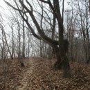 삼성산목장 이미지