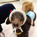 아이조아 요양보호소 서울점 이미지