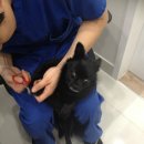 광명시티동물병원 이미지