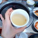 진장어 이미지