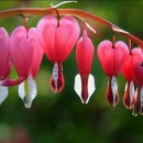 김해장유 삼정그린코아 더베스트 이미지