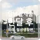 담낭절제술 한달 후 후기