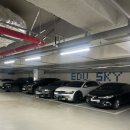 맑은샘피부관리실 | 평택피부관리 더맑은스킨 에듀타운점ㅣ임산부 모이스처라이징 진정 케어 후기