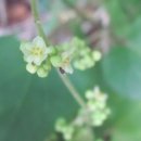 대가 식당 이미지