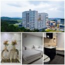 스마트워시 JIT예천점 | 안동 씨엠파크호텔, 위치의 편리, 조식, 창문 뷰, 주변