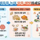 건강 정보] 체온이 떨어지면 암 위험이 커진다?! 체온을 높이는 건강 관리법 이미지