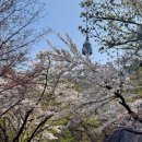 4/19(토) 남산둘레길 걷고 '우연히 웨스 앤더슨2' 전시 관람 이미지