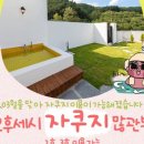 강릉 오후세시 이미지