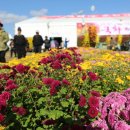 강경농산물 이미지