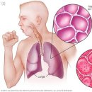 소아랑한의원 이미지