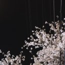 기브헬스