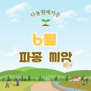 다농 6월 파종 작물 씨앗 -깨,서리태,열무, 무, 시금치 씨앗 등
