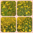 마산내서읍보건지소 이미지