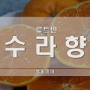 루트빈 이미지