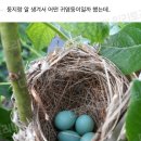 우리하숙 이미지