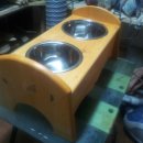 세이프독하우스 이미지