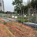 논일농장 이미지