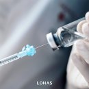 로하스속내과의원 네이버블로그